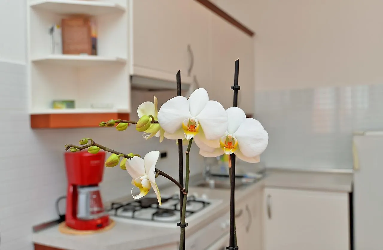 Apartment Ljiljana 1553 Novigrad Istria Hırvatistan